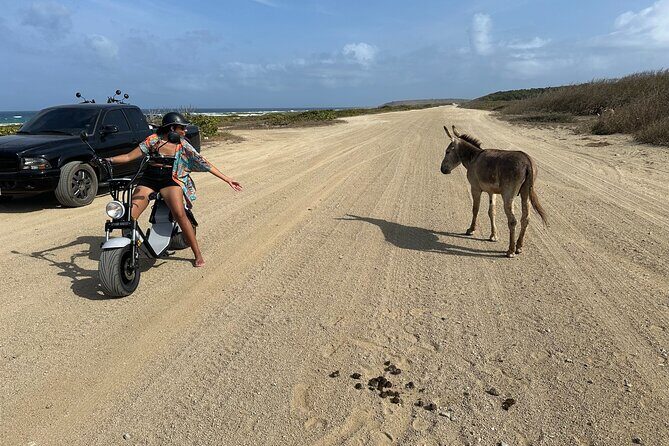 1/2 Day (4 hour) Electric Scooter Rental in Aruba - Eurowheelz scooters: comfort, speed, and the small safety things that matter