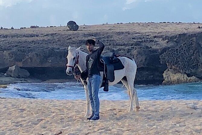 2-Hour Horseback Riding Tour to Little Natural Bridge in Aruba - Horses, guides, and animal welfare you can feel