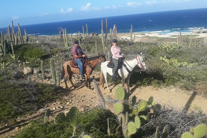 2-Hour Horseback Riding Tour to Little Natural Bridge in Aruba - What to bring and what to wear (so you’re not miserable)