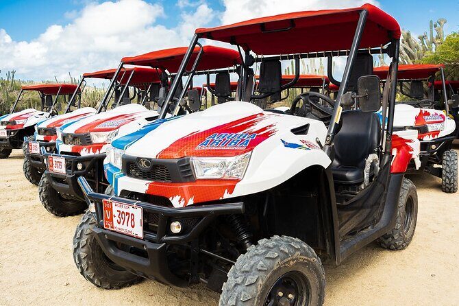2-Seater UTV Island Tour in Aruba - From Pickup to UTV: What Your Half-Day Really Looks Like