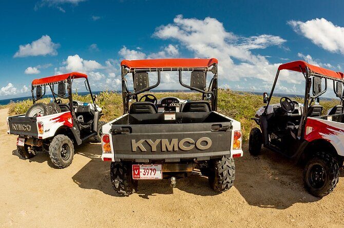 2-Seater UTV Island Tour in Aruba - Bushiribana Ruins and the North-Coast Gold Mill Story (Stop 3)