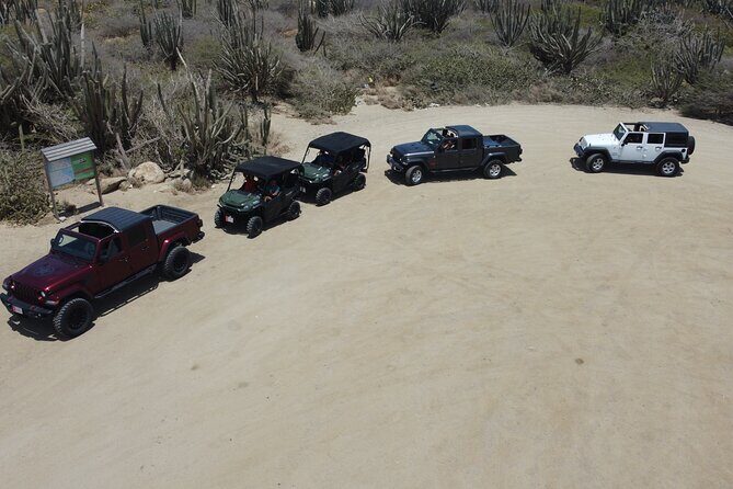 5 seat UTV Rental - Automatic vs Manual: Pick the Ride You’ll Actually Enjoy