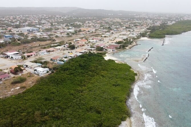 Adventure Kayak & Snorkeling at Reef Island Aruba - Stop 4: Second Guided Snorkel from Mangel Halto Shore