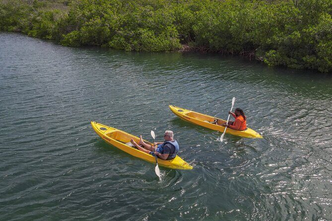Adventurous Clear Kayak And Snorkeling Tour At Mangel Halto - What You Get Before You Go: Included Gear and Small Comfort Wins