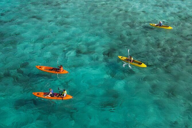 Adventurous Clear Kayak And Snorkeling Tour At Mangel Halto - Price and Value for a 2-Hour Reef Experience