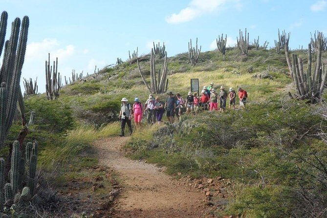 Arikok Adventurous Hiking Experience in Aruba - Visitors’ Center: The Smart Warm-Up Before You Walk