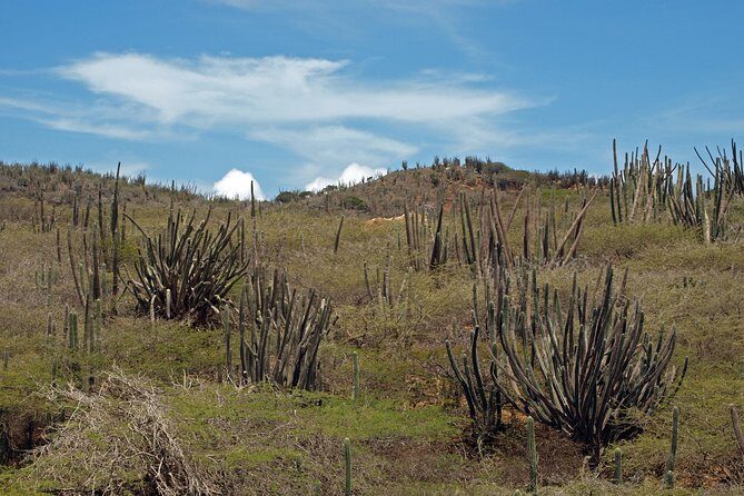 Arikok Adventurous Hiking Experience in Aruba - The Hike Through Arikok: Desert Terrain, Real Learning