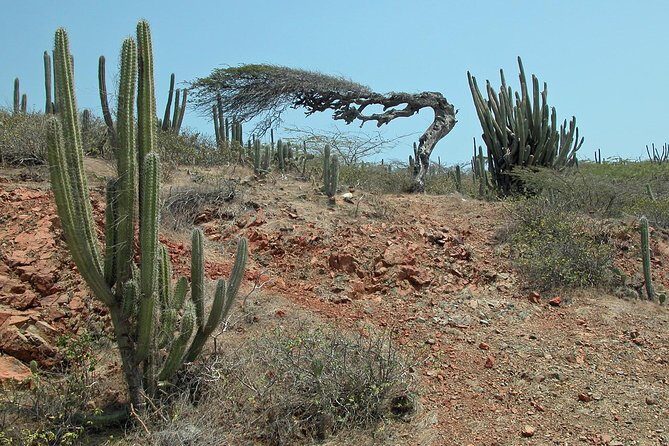 Arikok Adventurous Hiking Experience in Aruba - The Guides: Names You Might Meet and the Style You’ll Get