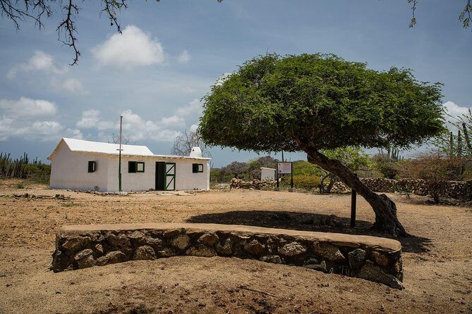 Arikok Adventurous Hiking Experience in Aruba - Group Size: Small Enough to Hear, Big Enough for a Social Morning