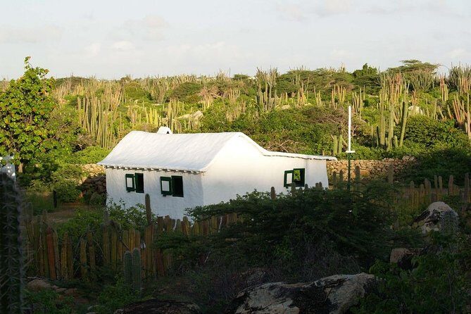 Arikok Adventurous Hiking Experience in Aruba - How Fit You Need to Be (And How I’d Self-Screen)