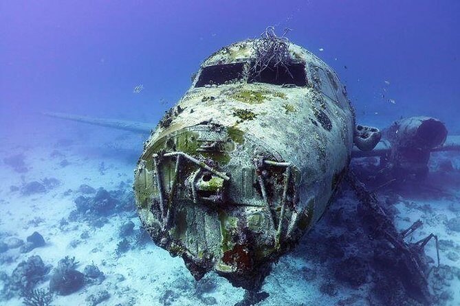 Aruba 1-Tank guided Dive for certified divers with rental equipment - Why Aruba’s one-tank plan feels low-stress with rentals