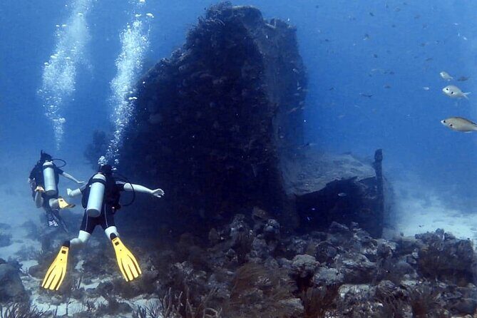 Aruba 2-Tank Dive Excursion for Certified Divers - The 4-hour rhythm: 8:30 meet-up, two tanks, and a boat breather