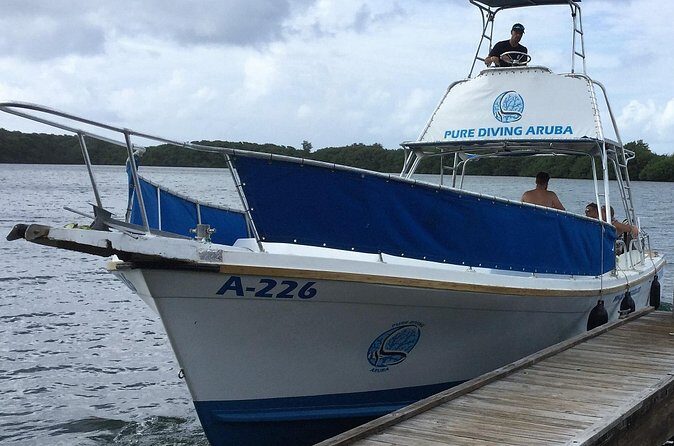 Aruba 2-Tank Guided Dive for Certified Divers / rental equipment - Stop Two: the Oranjestad area and the reef/wreck mix