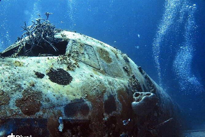 Aruba 2-Tank Guided Dive for Certified Divers / rental equipment - Where you go: reefs and wreck options you can actually plan around