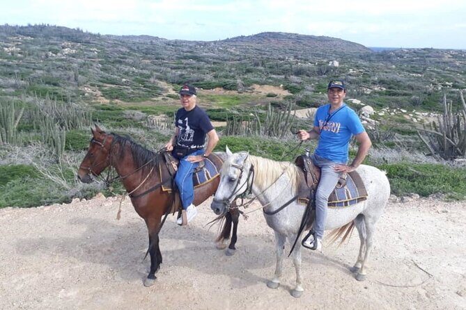 Aruba 2,5 hrs Horseback Riding For Advanced Riders - Why this advanced horseback ride feels different on Aruba