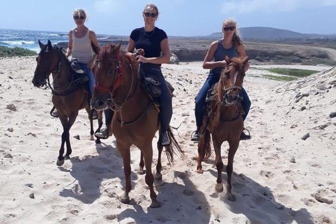 Aruba 2,5 hrs Horseback Riding For Advanced Riders - North Coast time: rocky shores, big views, and camera moments