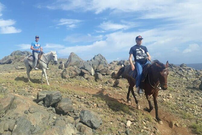 Aruba 2,5 hrs Horseback Riding For Advanced Riders - Beach gallops and cactus-field trekking: the terrain variety that matters
