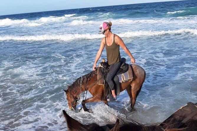 Aruba 2,5 hrs Horseback Riding For Advanced Riders - After the ride: ranch bar drinks and an easier finish