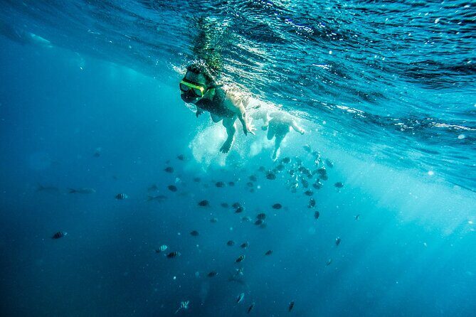 Aruba Afternoon Snorkel Sail aboard Palm Pleasure Catamaran - Open Bar and Snacks: Real Value for the Price