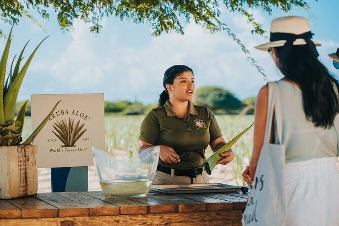 Aruba Baby Beach Express Tour - Key Highlights You’ll Actually Feel