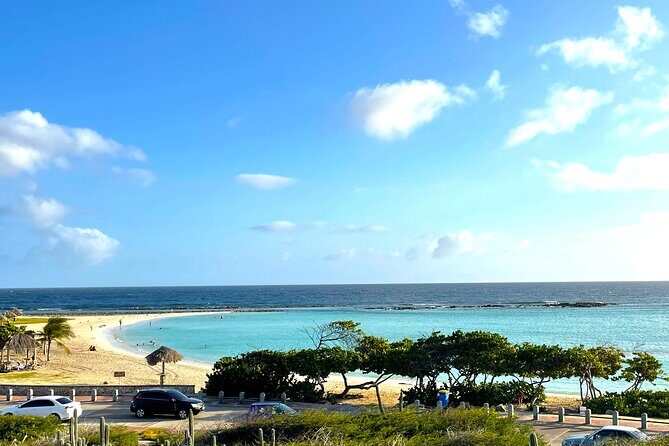 Aruba Baby Beach Express Tour - Donkey Sanctuary Aruba: A Short Visit That Still Feels Personal