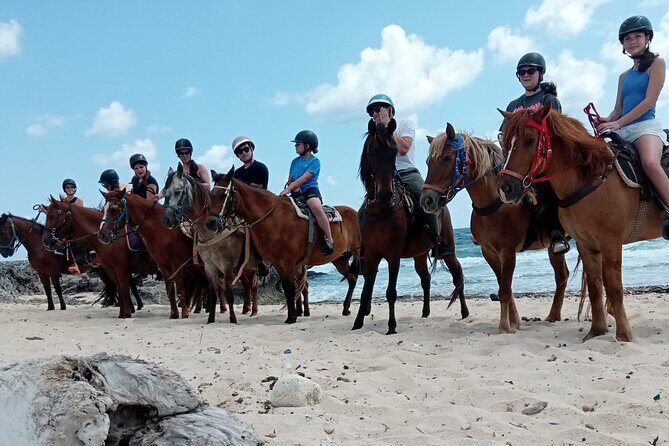 Aruba Beach Ecological Horseback Ride - Horses, Safety, and How the Ride Works for Different Skill Levels