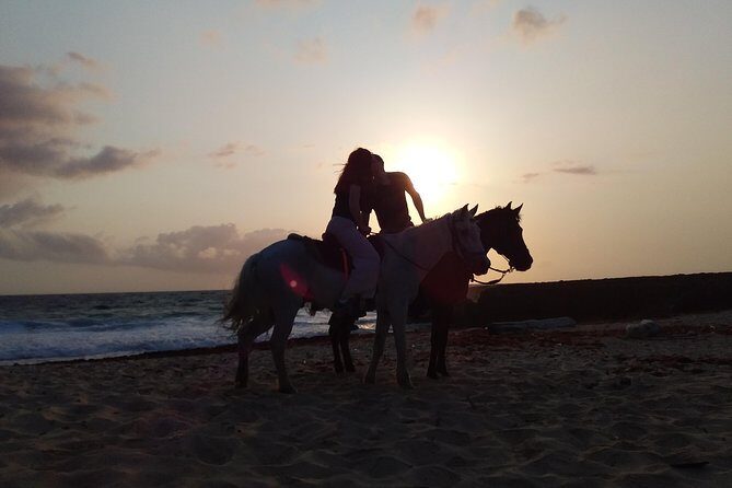 Aruba Beach Ecological Horseback Ride - What to Wear and Bring So the Ride Feels Easy