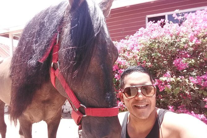 Aruba Beach Ecological Horseback Ride - The Coach Moment: Photos, Photo Time, and Guide Style