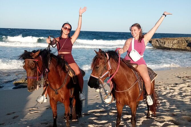 Aruba Beach Ecological Horseback Ride - Who Should Book, and Who Might Want to Skip This One