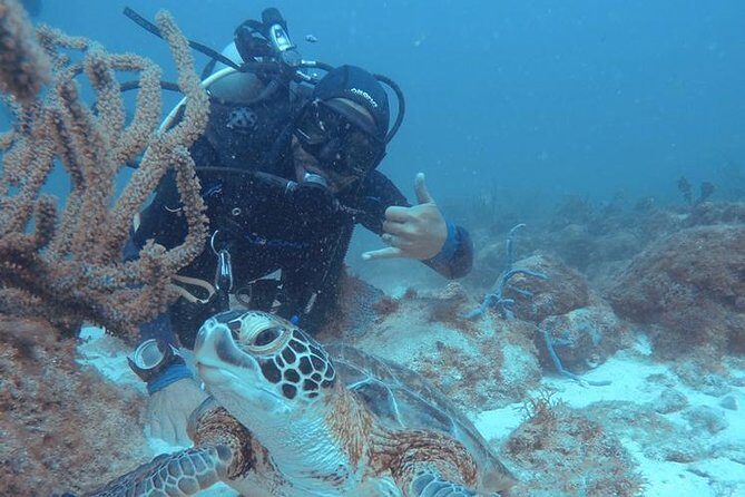 Aruba Certified Scuba Diving - Check-in at Aruba Watersports Center: how you’ll get in the water fast