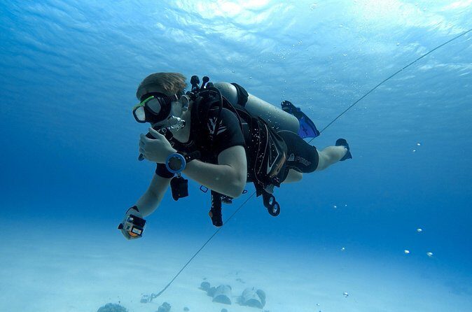 Aruba Certified Scuba Diving - Reef life and wildlife you can actually name