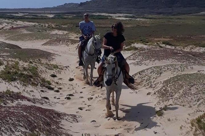 Aruba Countryside: Horseback Adventure to Urirama Cove - Price and Value: Is $115 Really Fair?