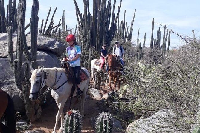 Aruba Countryside: Horseback Adventure to Urirama Cove - What to Bring (and What You’ll Wish You Had)