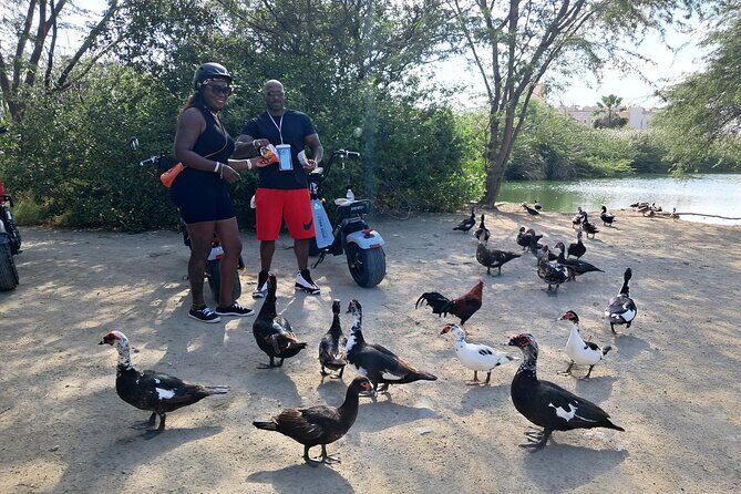 Aruba Electric Scooter Rental (1 or 2-seater) - Building your own Aruba loop: beaches, views, and the freedom to change plans