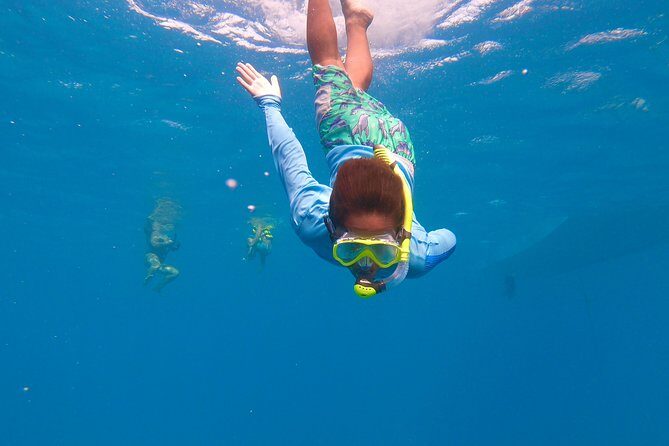 Aruba Element Private Boat Charter (After-Lounge) - The captains: safety-minded care is part of the story