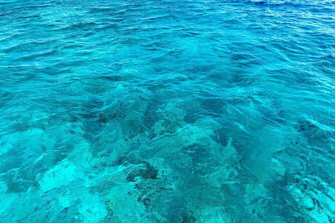 Aruba Element Private Boat Charter (L-Lounge) - Spanish Lagoon: reef snorkeling with another 30-minute window