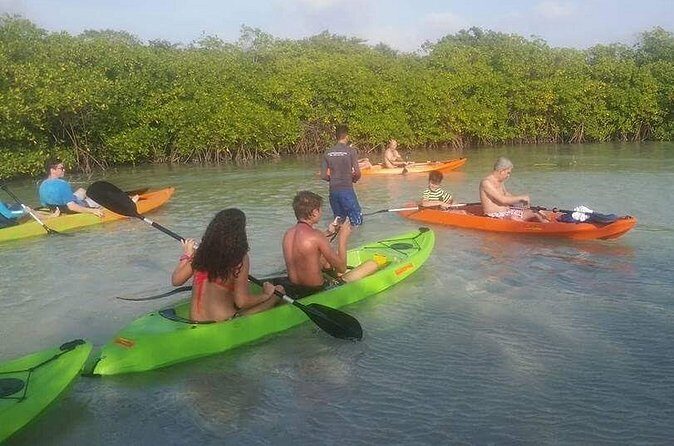 Aruba Glass Bottom Kayak Tour through the Mangrove Forest - Mangel Halto Beach return: coral, views, and a short rest