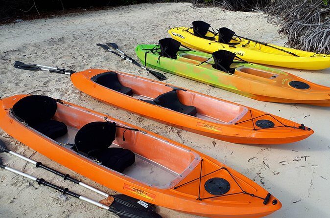 Aruba Glass Bottom Kayak Tour through the Mangrove Forest - What can go wrong: wind, waves, and the tandem challenge