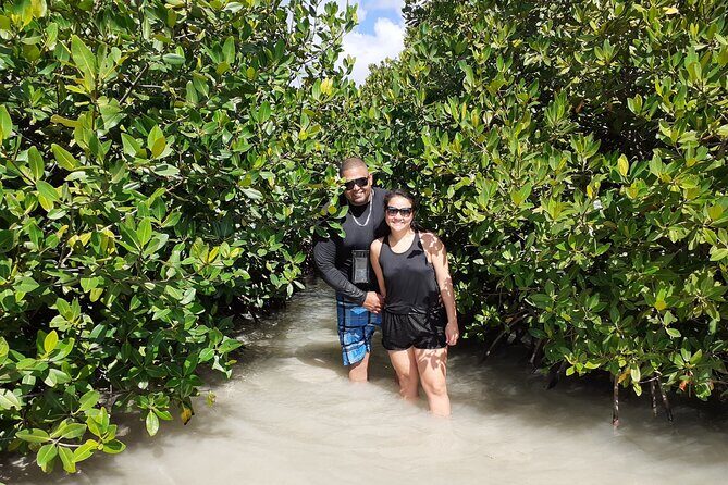Aruba Glass Bottom Kayak Tour through the Mangrove Forest - Price and value: what $70 really buys you