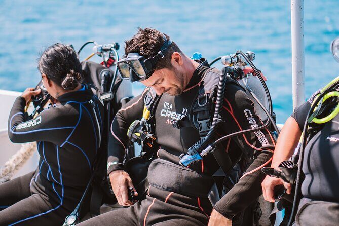 Aruba Guided Night Dive Adventure: Shallow Reefs or Shipwrecks - Key Highlights at a Glance