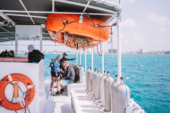 Aruba Guided Night Dive Adventure: Shallow Reefs or Shipwrecks - Reefs or Shipwrecks: Why the Site Choice Changes Everything