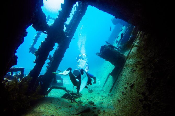 Aruba Guided Night Dive Adventure: Shallow Reefs or Shipwrecks - Gear Setup With Weights and a Belt: Small Details, Big Comfort