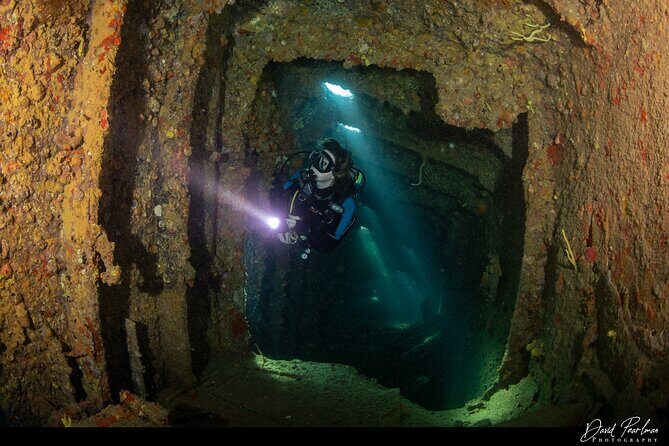 Aruba Guided Night Dive Adventure: Shallow Reefs or Shipwrecks - Getting Oriented in the Dark: What the Instructor Is Really Doing