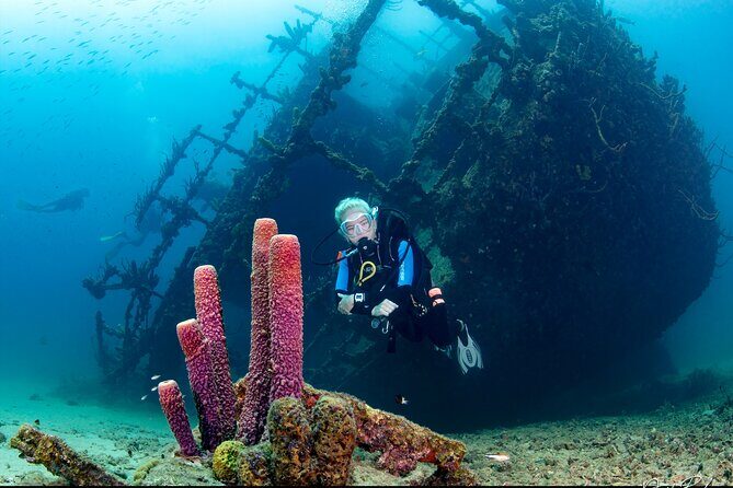 Aruba Guided Night Dive Adventure: Shallow Reefs or Shipwrecks - The Plan Underwater: Shallow Depth, Buddy System, and a 40-Minute Window