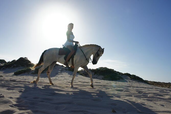 Aruba Horseback Riding Tour For Advanced Riders - Horses and tack: English vs Western, plus the comfort basics