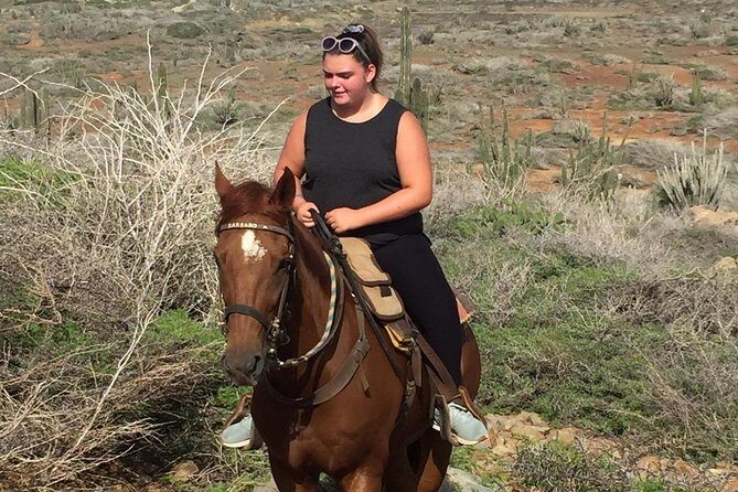 Aruba Horseback Riding Tour For Advanced Riders - Beach and lagoon scenery: the moments that make the ride memorable