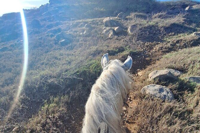Aruba Horseback Riding Tour For Advanced Riders - Guides that set the tone: Nelson, Max, Nestor, and the vibe