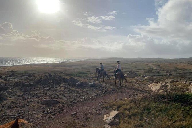 Aruba Horseback Riding Tour to Alto Vista Chapel - Price and Time: Does $120 Make Sense for Aruba?