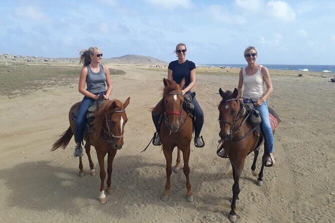 Aruba Horseback Riding Tour to Alto Vista Chapel - Who This Tour Fits Best (and Who Should Skip It)
