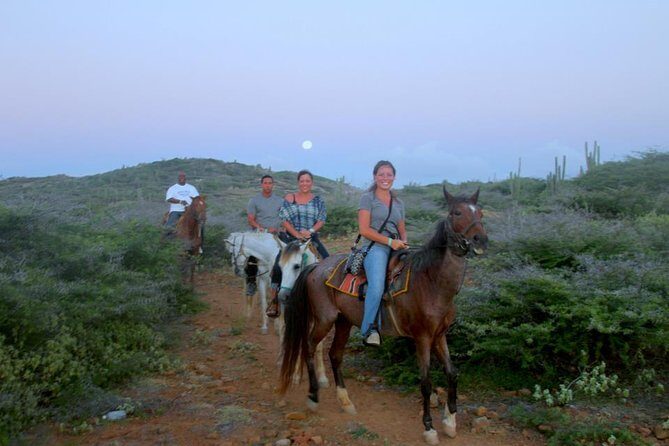 Aruba Horseback Riding Tour to Hidden Lagoon - Key things to know before you book